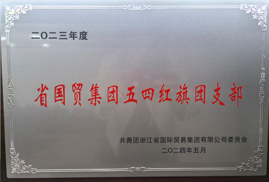 国贸集团五四红旗团支部