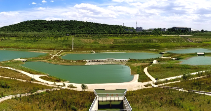 粤港宝典正版资料大全