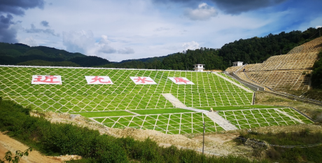 1751612137777796.png 6-1.png